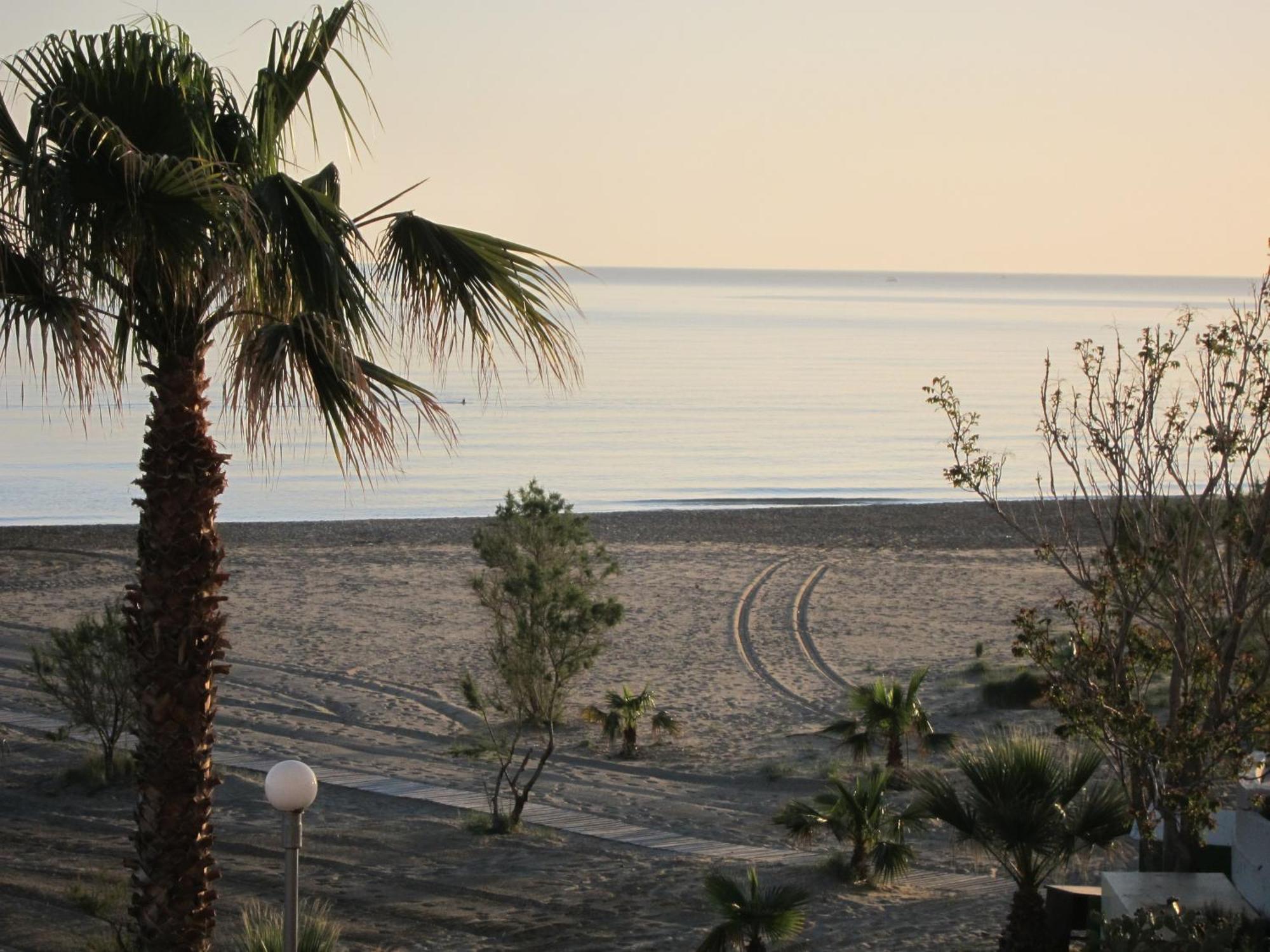 The Sea View